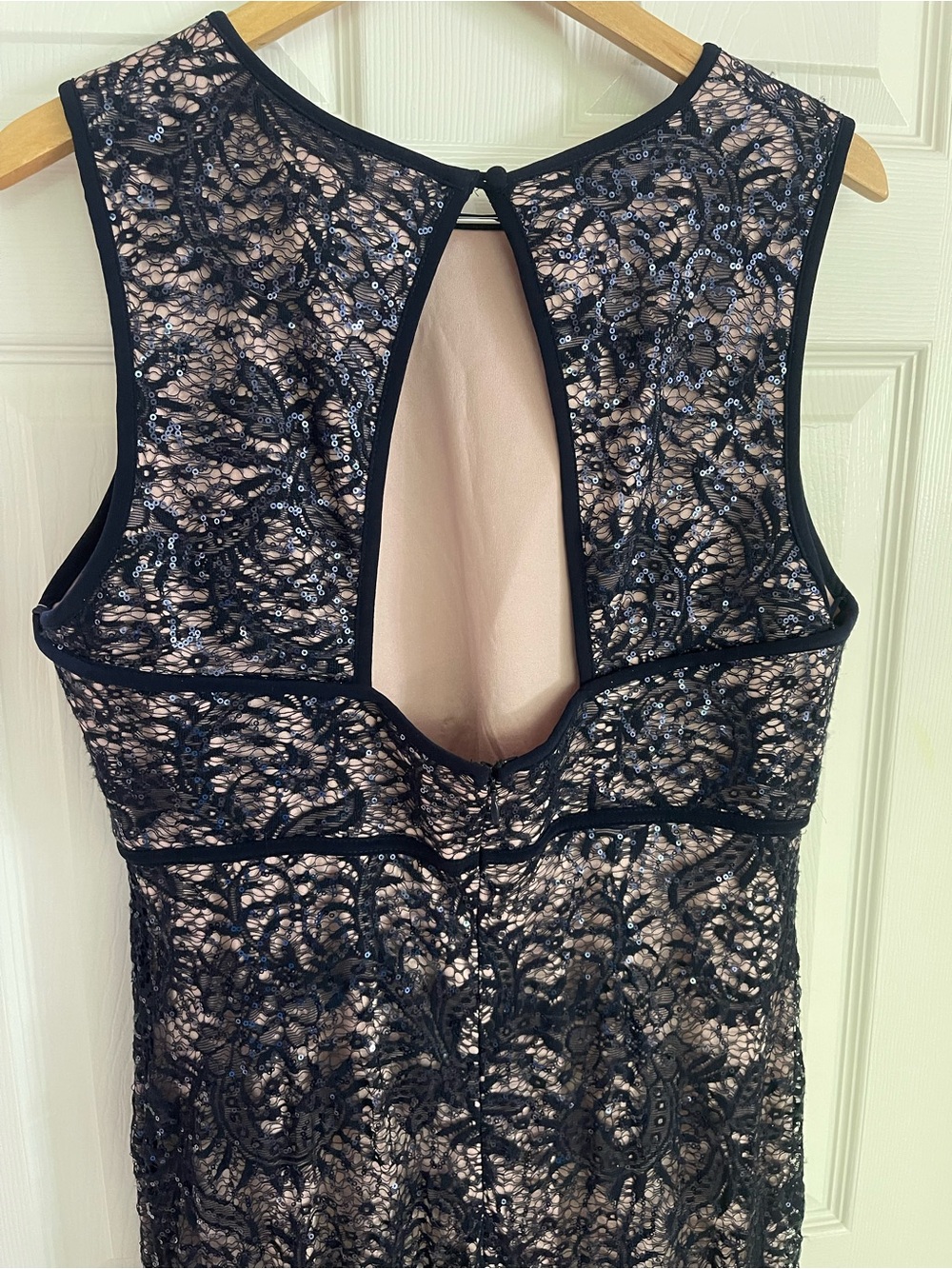 Plus Size Navy Lace Maxi Dress with Nude Lining - Picture 7 of 15